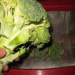 pulire i broccoli