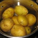 mettere a bollire le patate