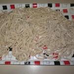 pasta fresca al farro