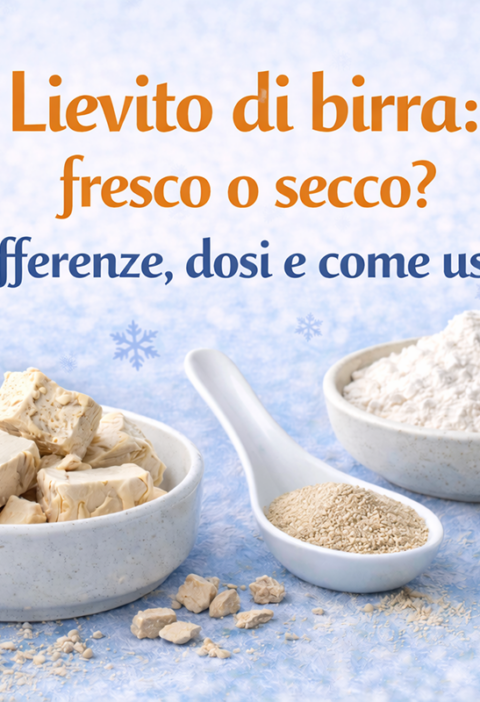 lievito di birra fresco o secco