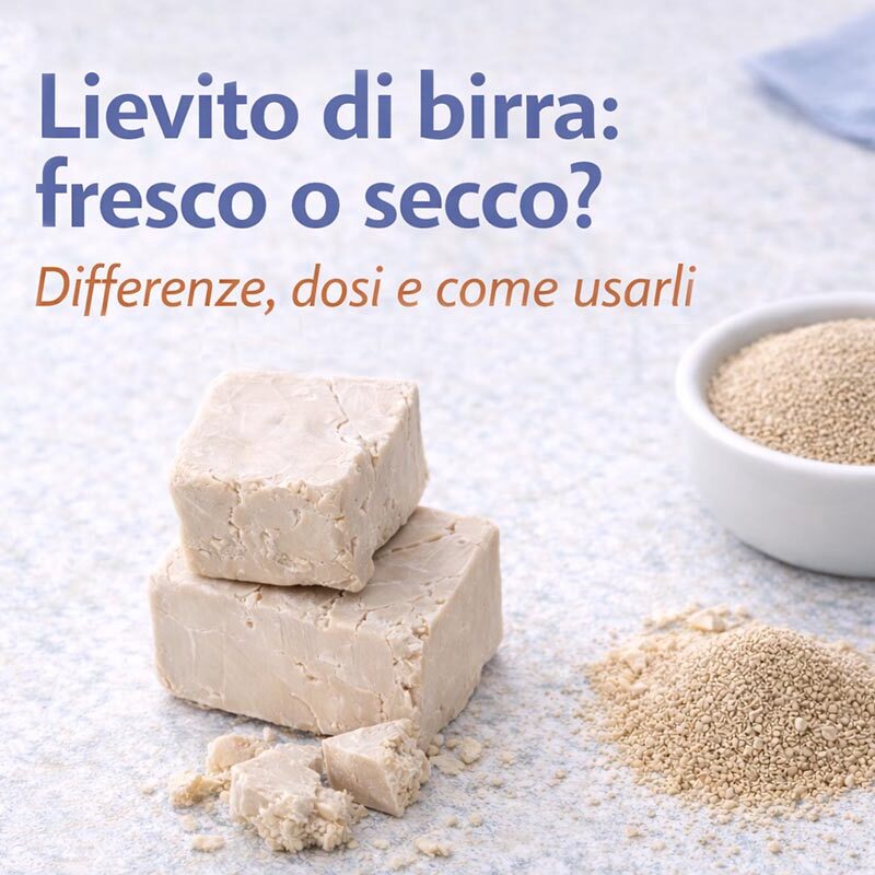 lievito di birra fresco o secco
